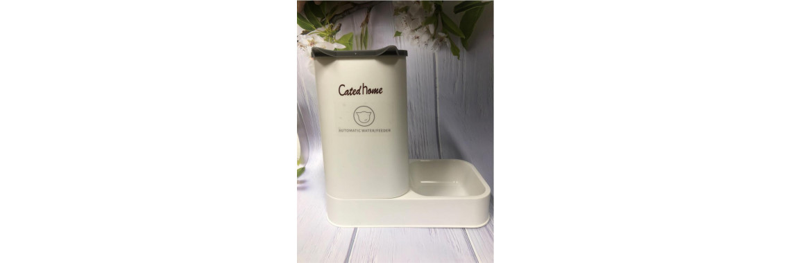 Catedhome Automatic Feeder